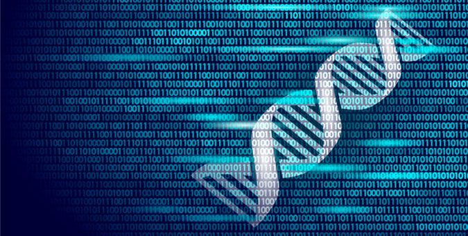 Streamlining Scientific Workflows for Accuracy and Reproducibility By Bernardo Aguzzoli Heberle and Mark T. W. Ebbert